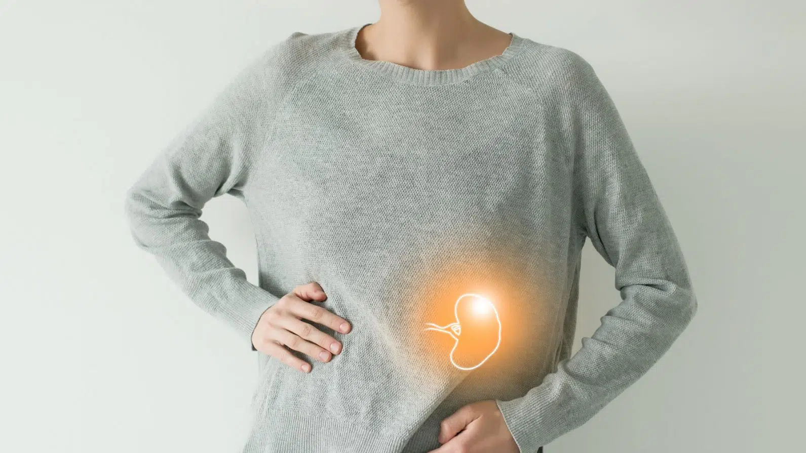 Qual a função do baço? Saiba onde fica localizado este órgão