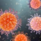 O que é herpes-zóster?