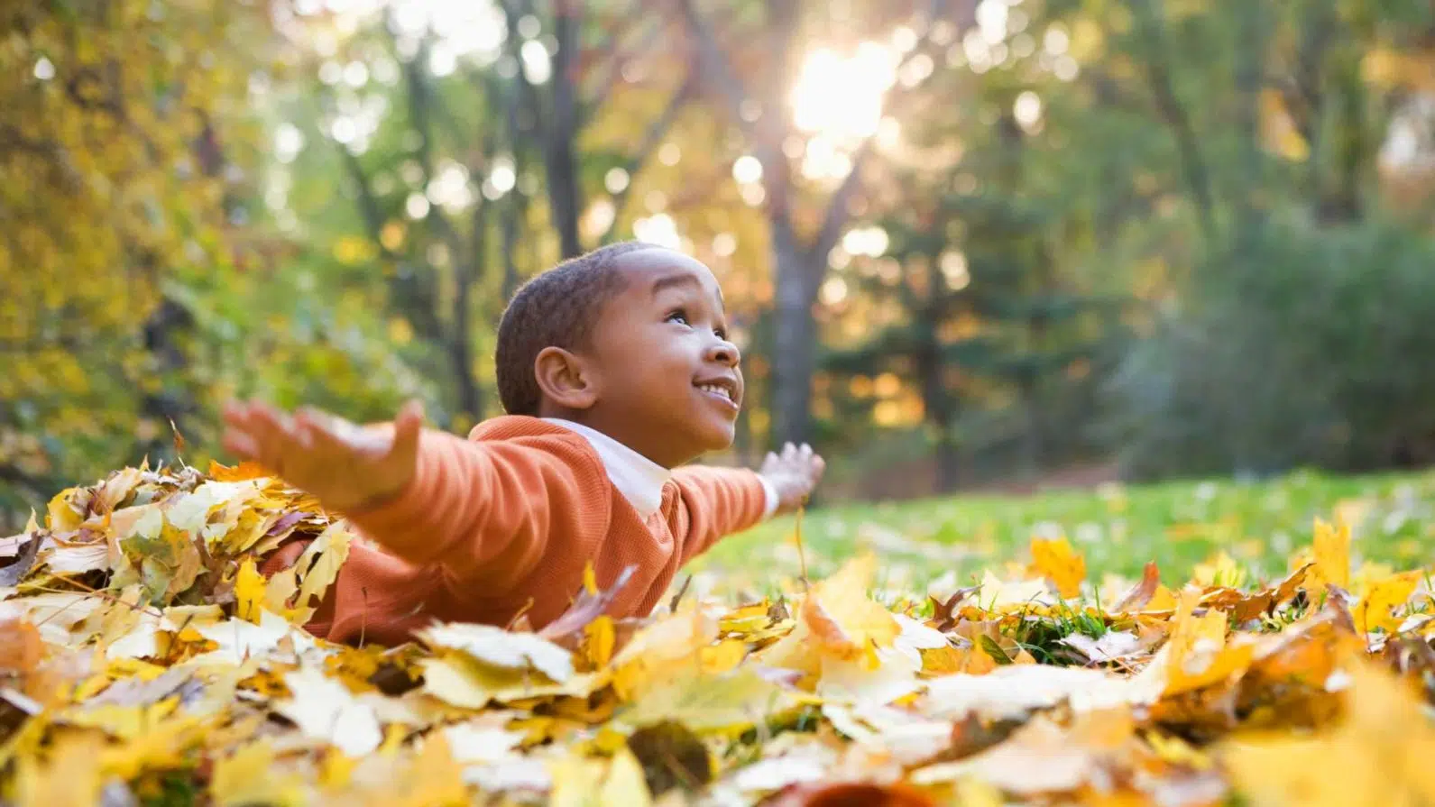 O que é hemofilia? Conheça essa coagulopatia frequente no Brasil