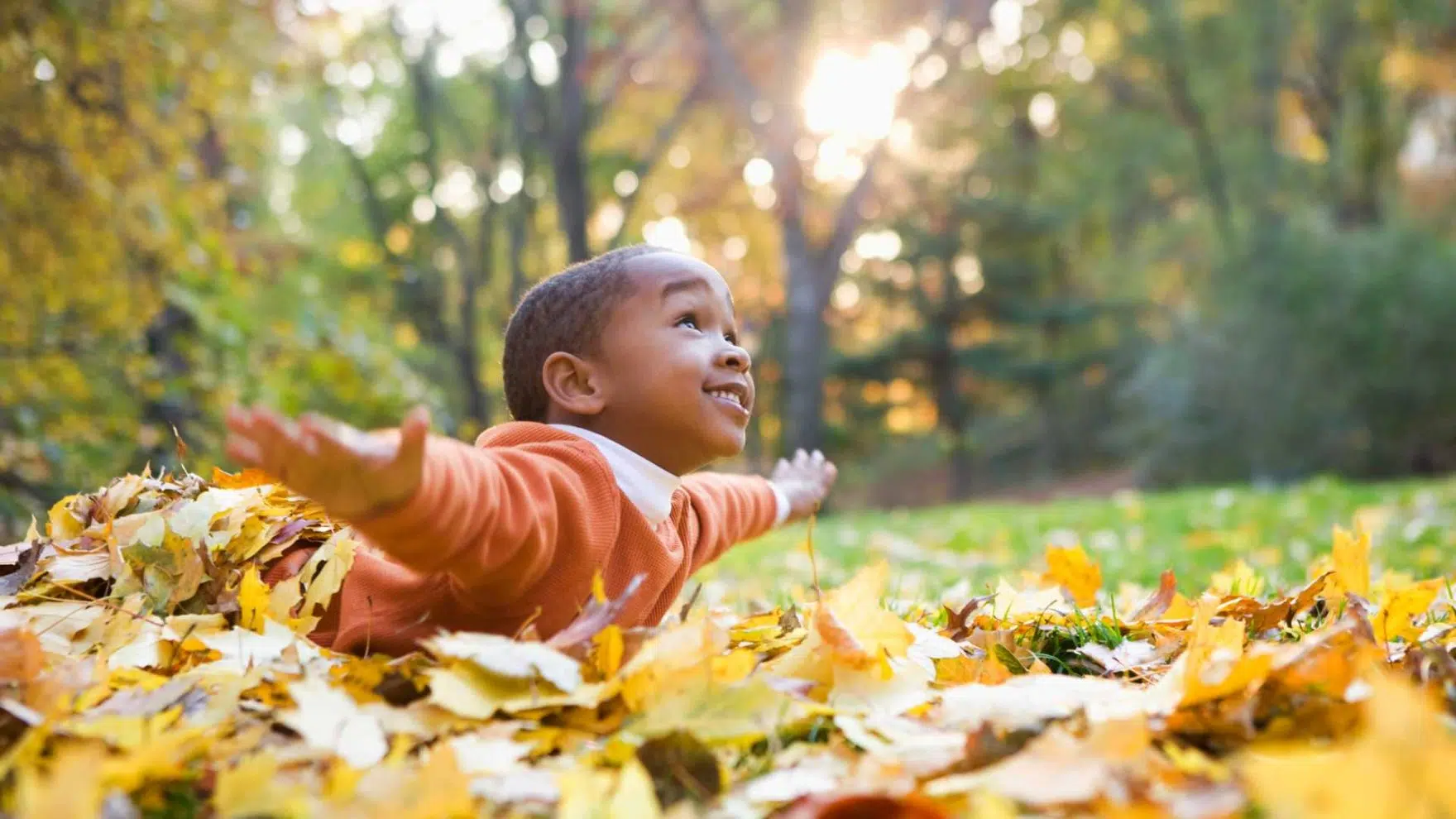O que é hemofilia? Conheça essa coagulopatia frequente no Brasil