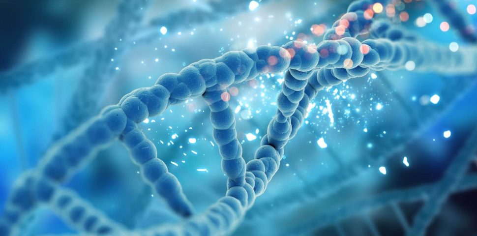 O que são os marcadores tumorais e como eles rastreiam o câncer?
